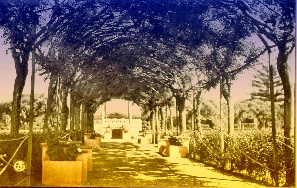 RIO SALADO 509  SQUARE ET PERGOLA.jpg
